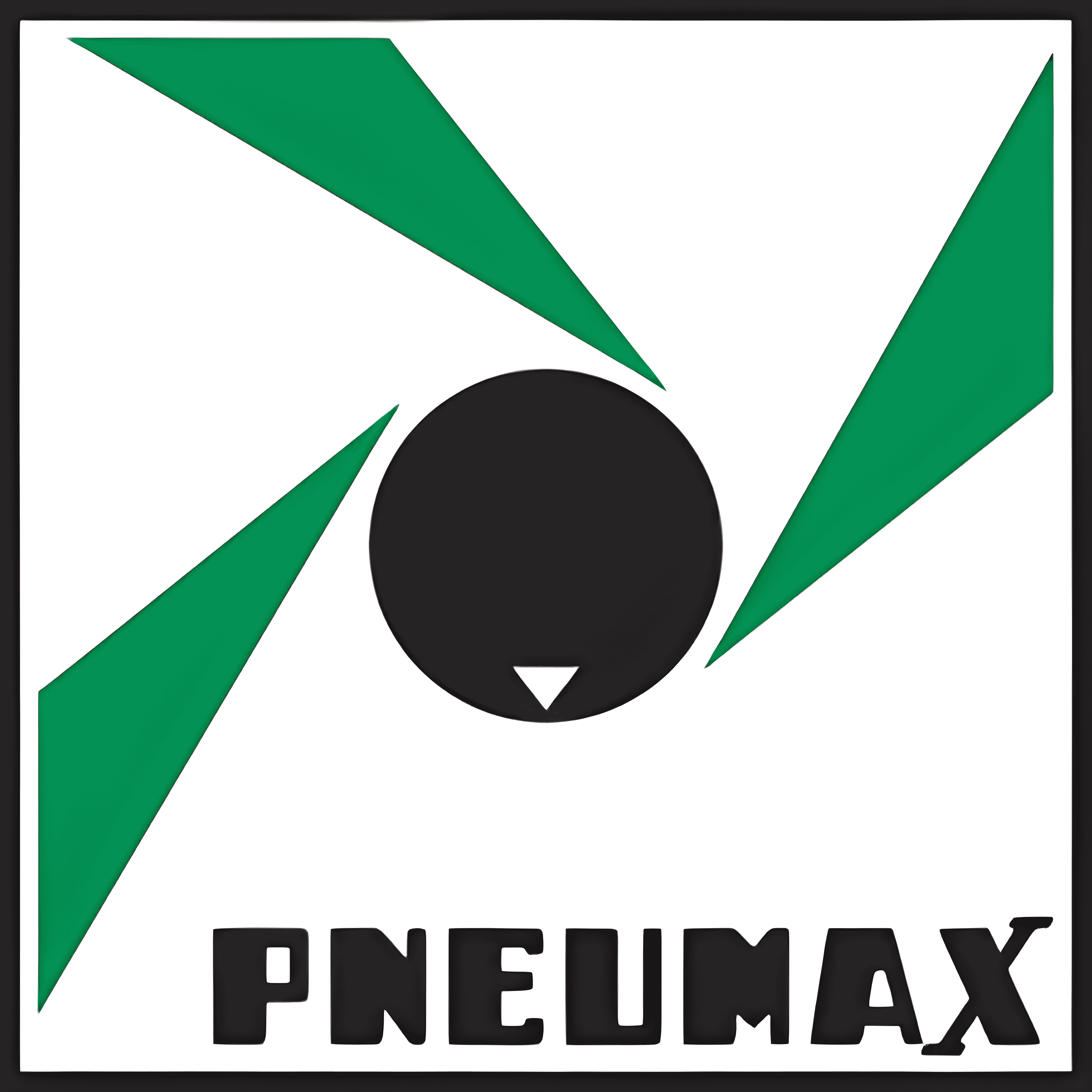Pneumax S.p.A. Logo